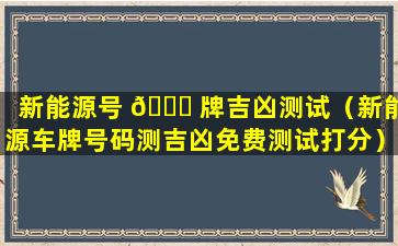 新能源号 🍀 牌吉凶测试（新能源车牌号码测吉凶免费测试打分）